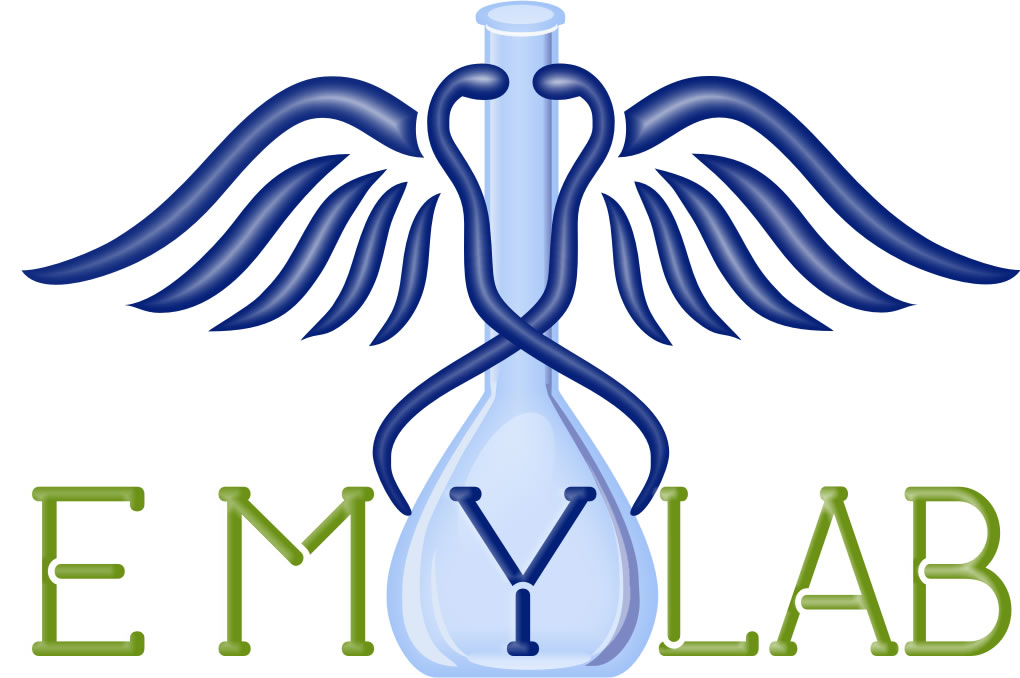 EMYLAB CORPORATIVO